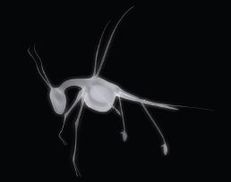 Intimate Transactions image 3