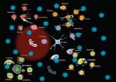 Intimate Transactions image 4